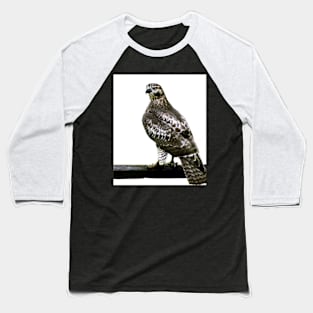 Hawk Baseball T-Shirt